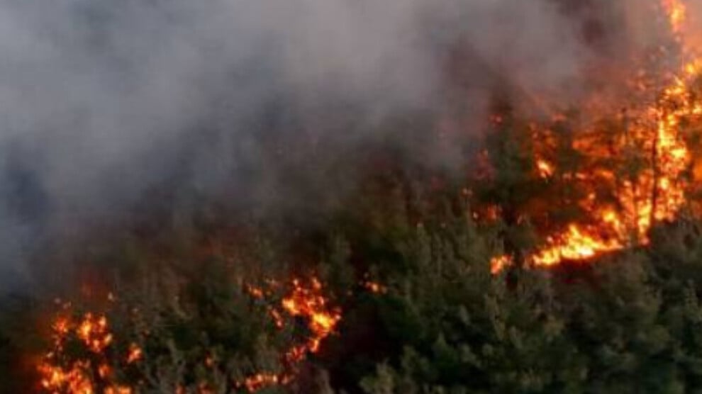 KCK: Yangınları ortak mücadele söndürebilir
